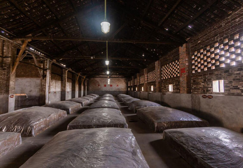 樹(shù)清濃香窖池