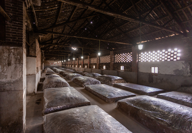 樹(shù)清酒莊窖池