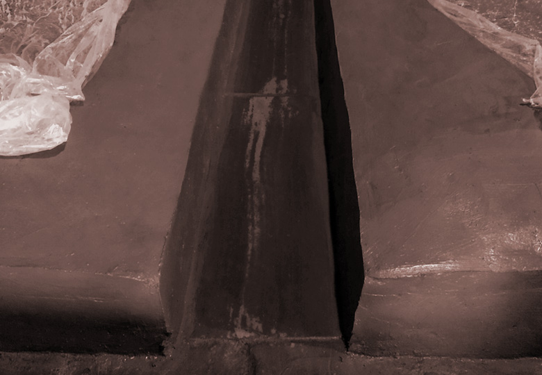 樹(shù)清保護(hù)窖池